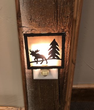 Park Design Metal Night Light