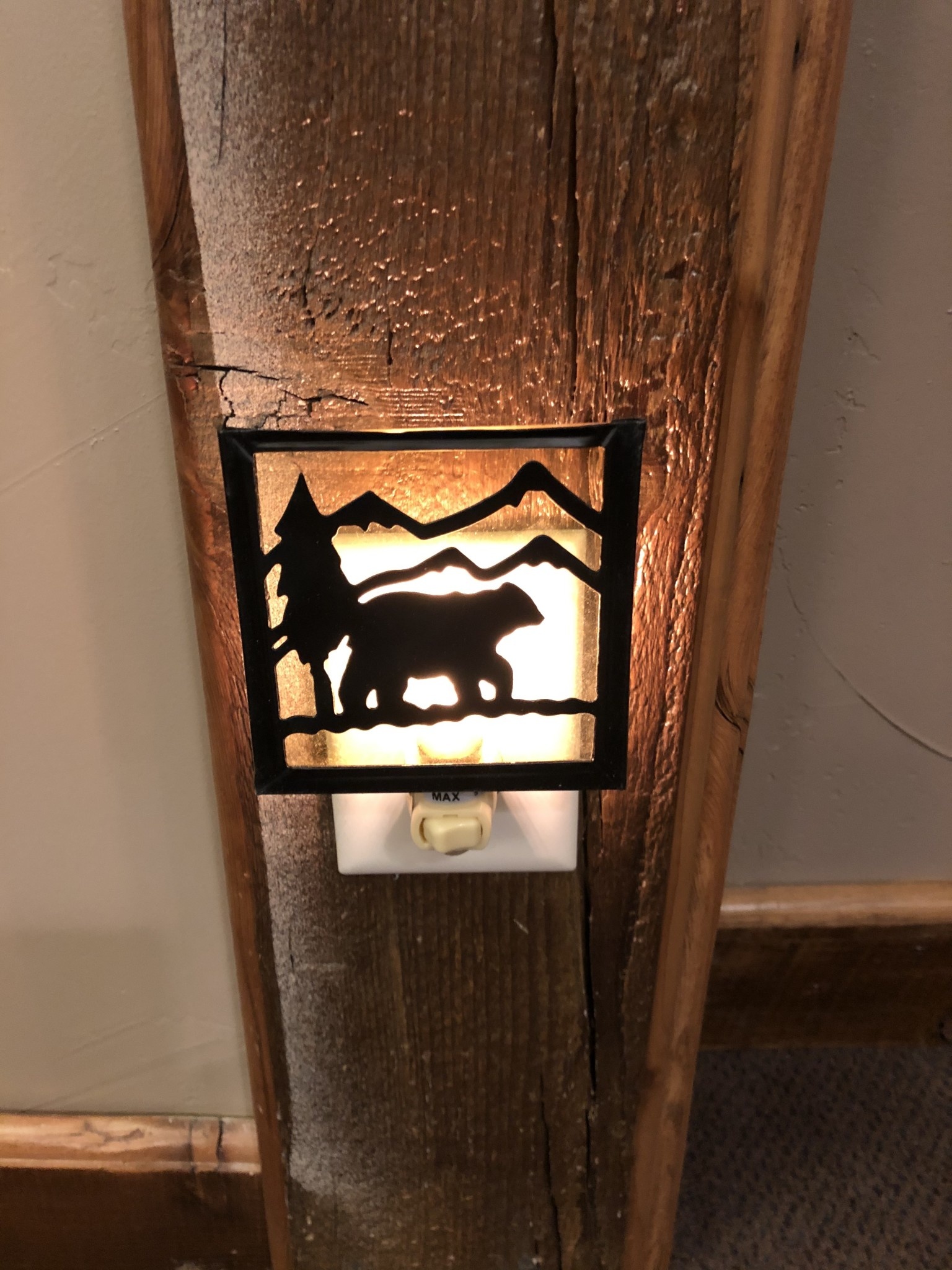 Park Design Metal Night Light