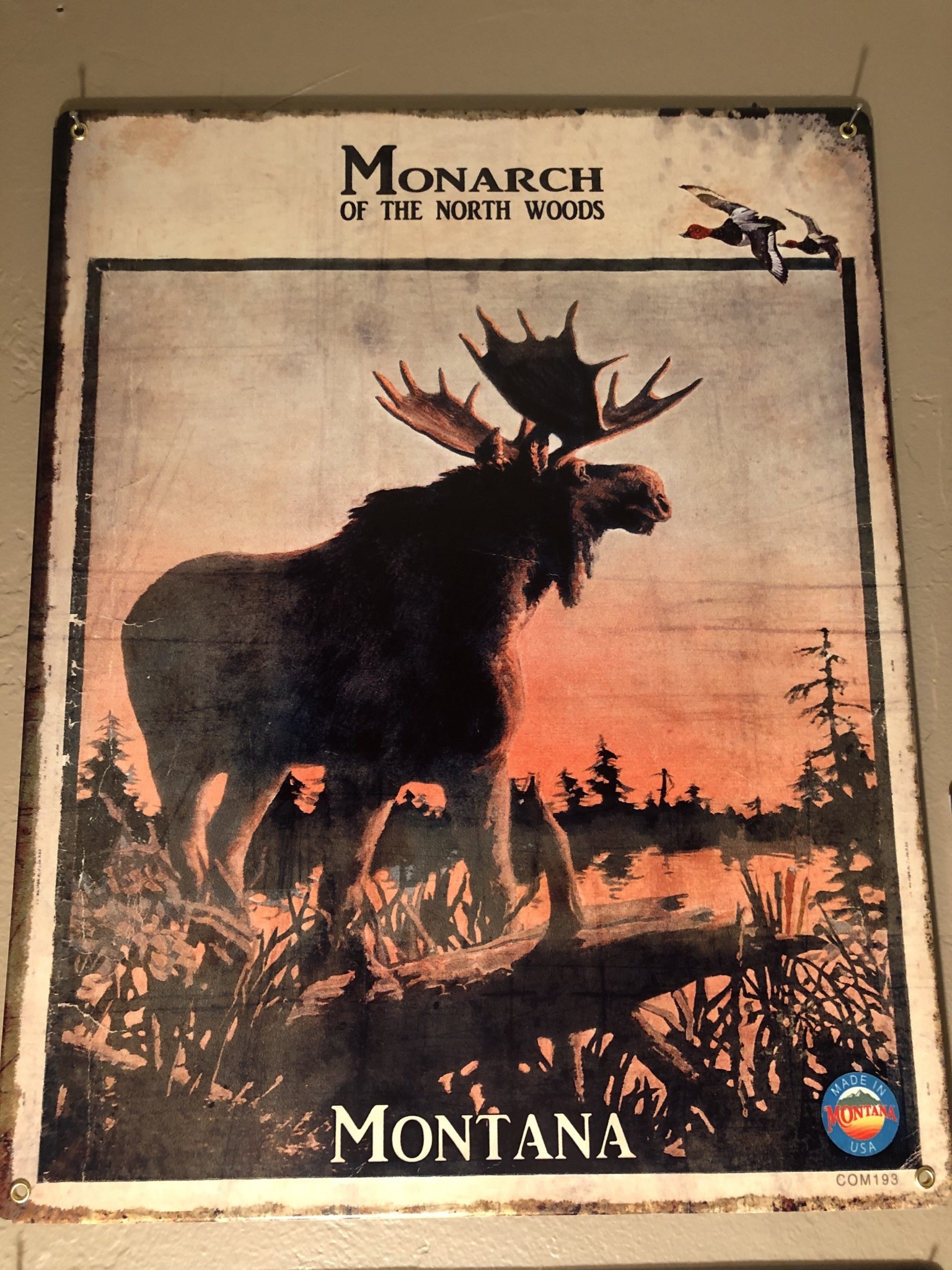 Classic Outdoor Magazines #20 Monarch Moose 12x15 Metal Sign