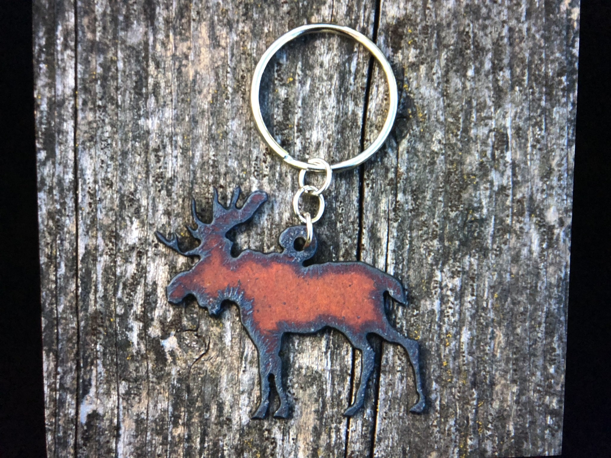cool water jewelry KC15 Moose Charm Key Ring