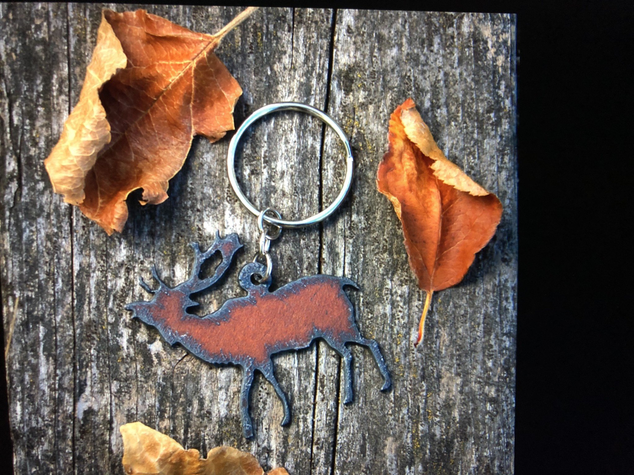 cool water jewelry KC16 Elk Charm Key Ring