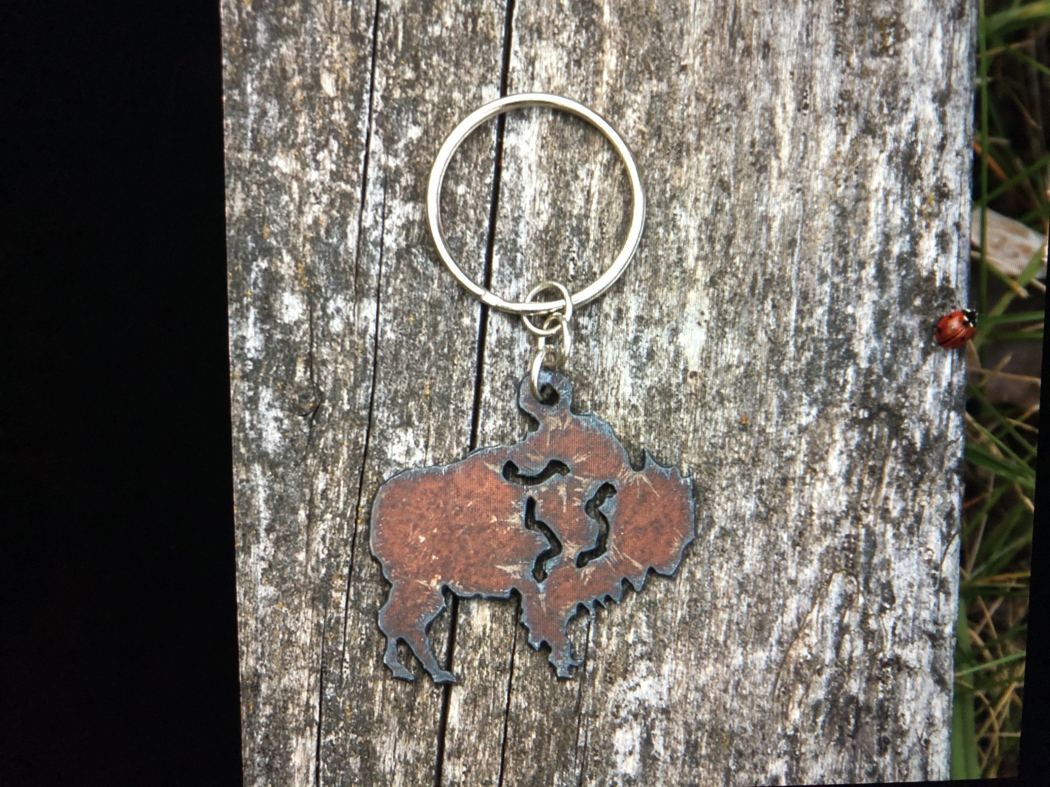 cool water jewelry KC9 Buffalo Charm Key Ring