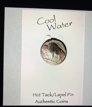 cool water jewelry LP2 Lapel Pin: Buffalo Nickel