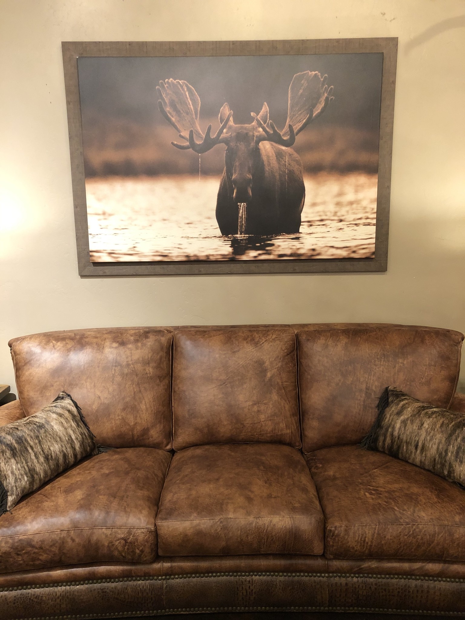 TAC Moose Male Rising 66x46