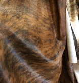 Gaucho XL Cowhide