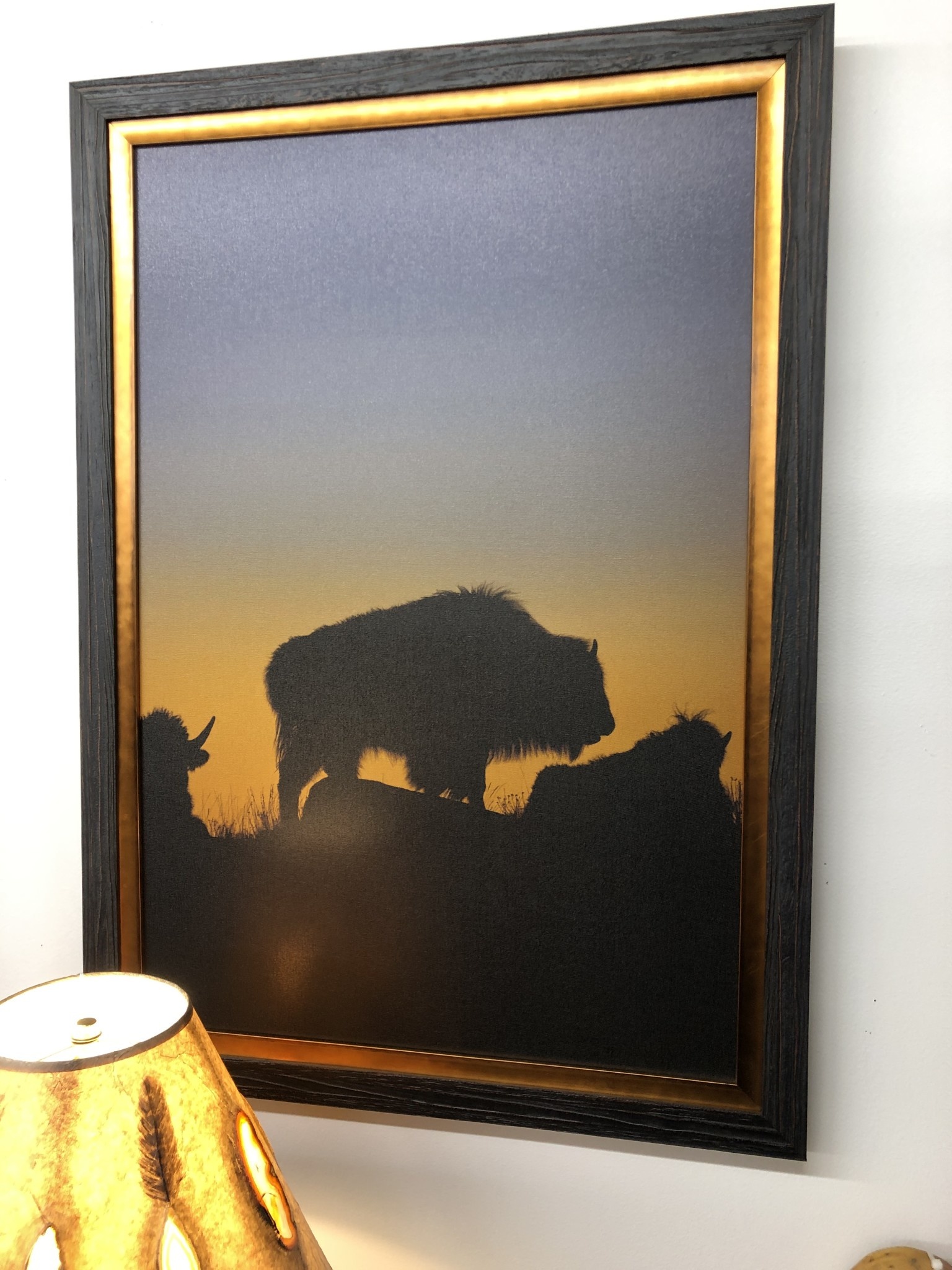 TAC Yellowstone Bison
