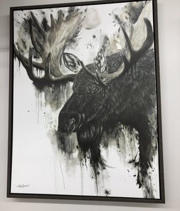 TAC Bull Moose  (11687)