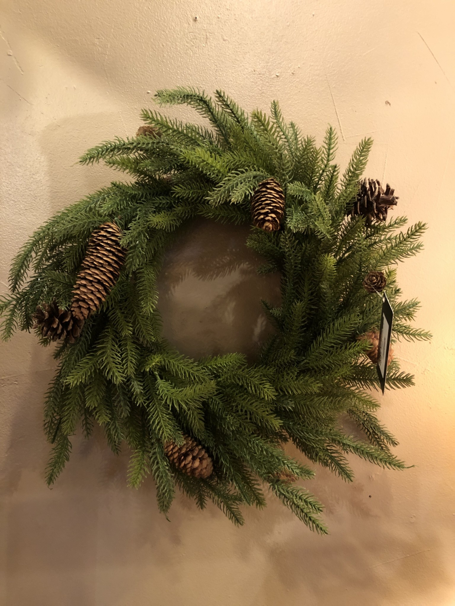 Sullivans Pinecone Wreath 24"D  (WR883)