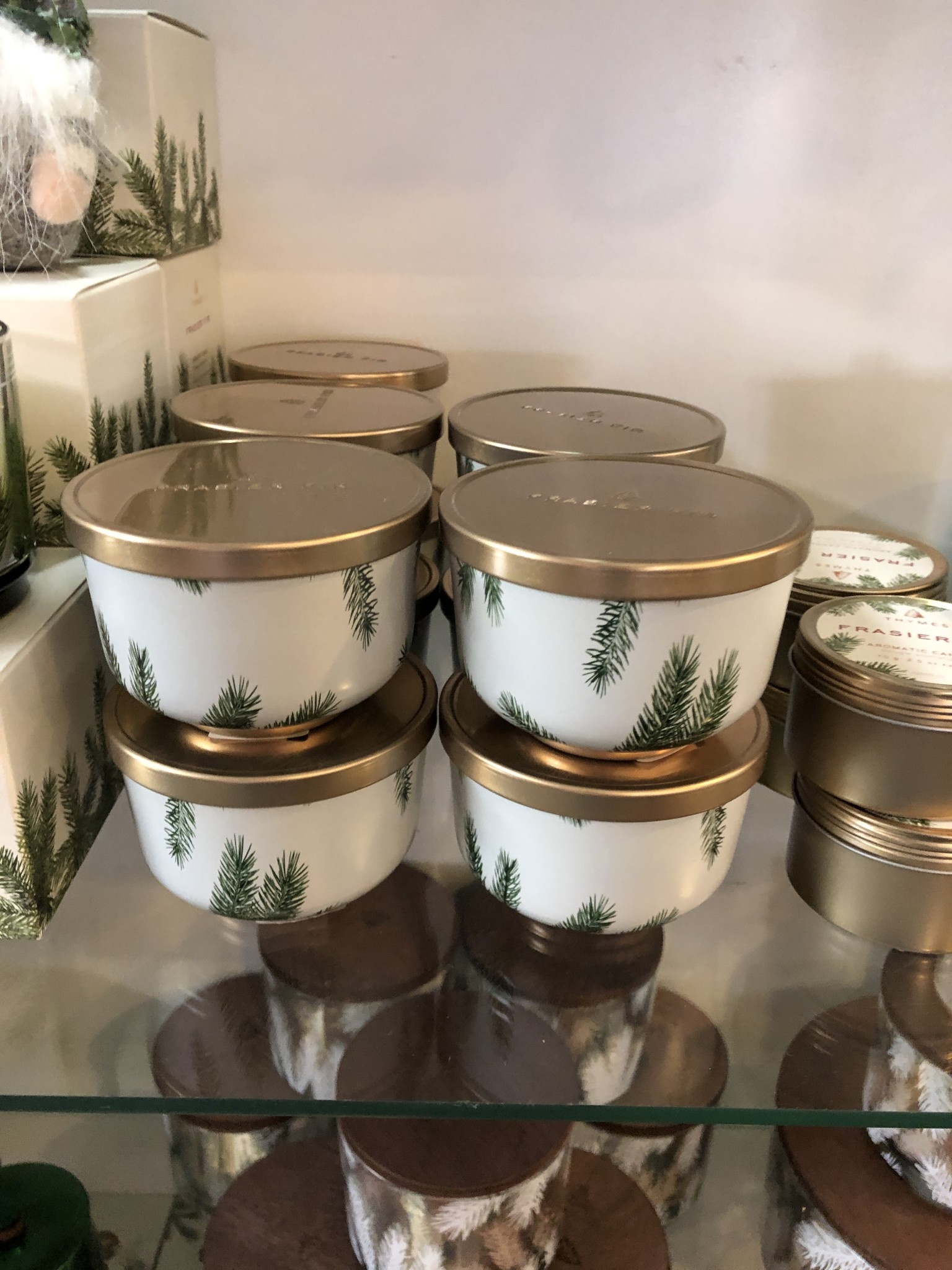 Frasier Fir FF Universal Lg Tin, Gold Lid