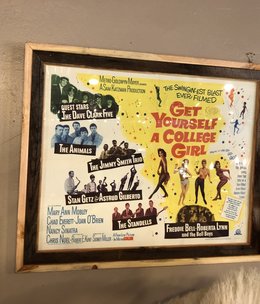 Jerry Curtis "Get Yourself a College Girl" Old Movie Poster 32x26