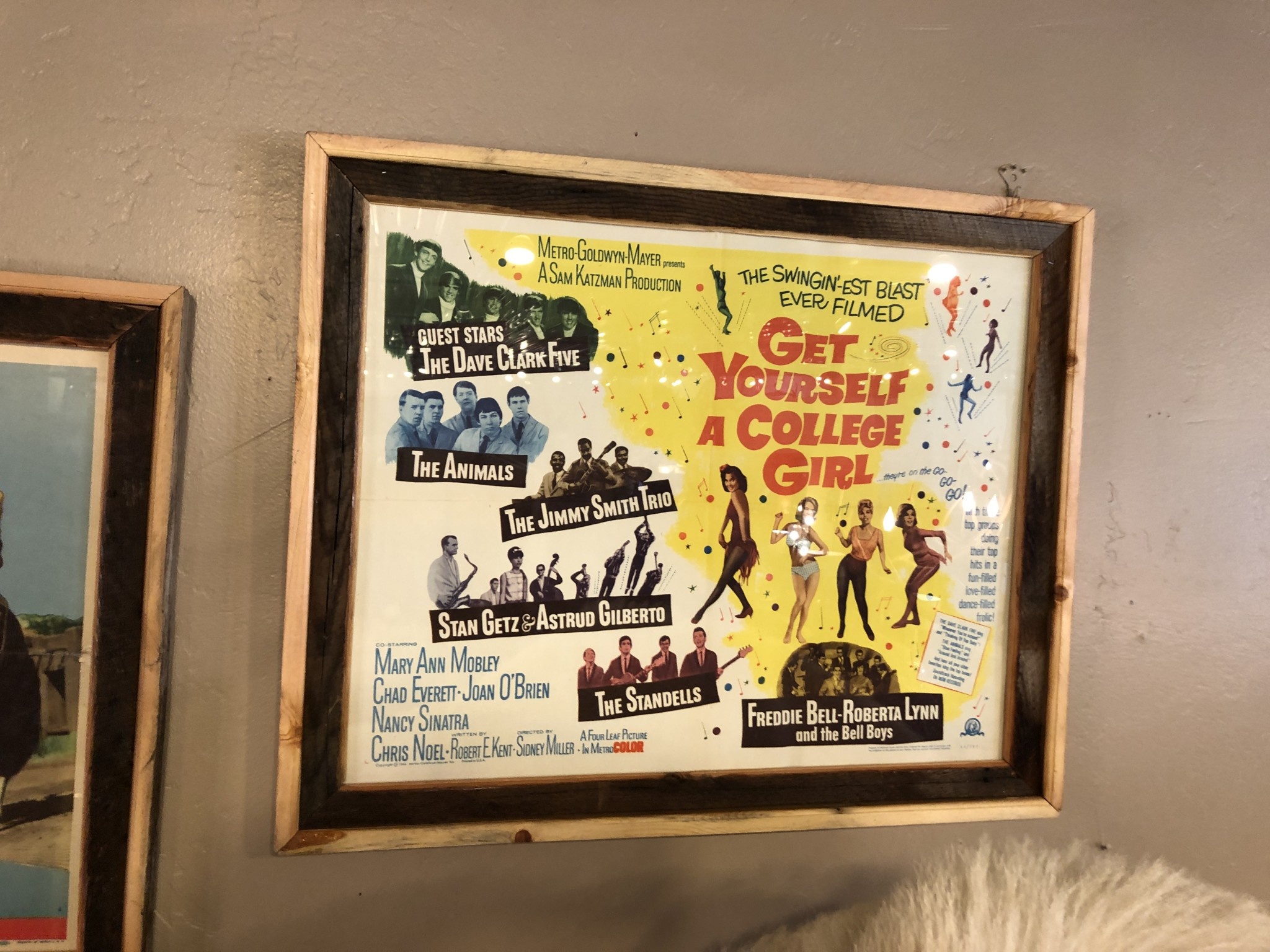 Jerry Curtis "Get Yourself a College Girl" Old Movie Poster 32x26