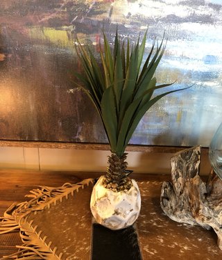 D&W Silks Short Agave Plant in Ceramic Pot