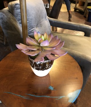 D&W Silks Frosted Pink Echeveria in Gold Ceramic Planter