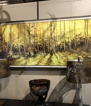 TAC Aspen Panorama 80 x 29