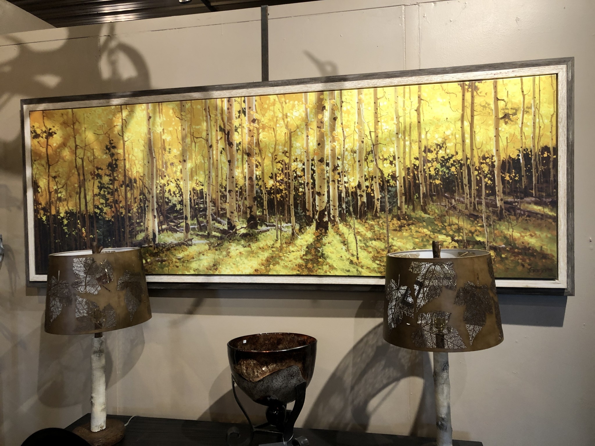TAC Aspen Panorama 80 x 29