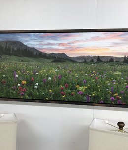 TAC Colorado Wildflower Pano 1  52x22.5