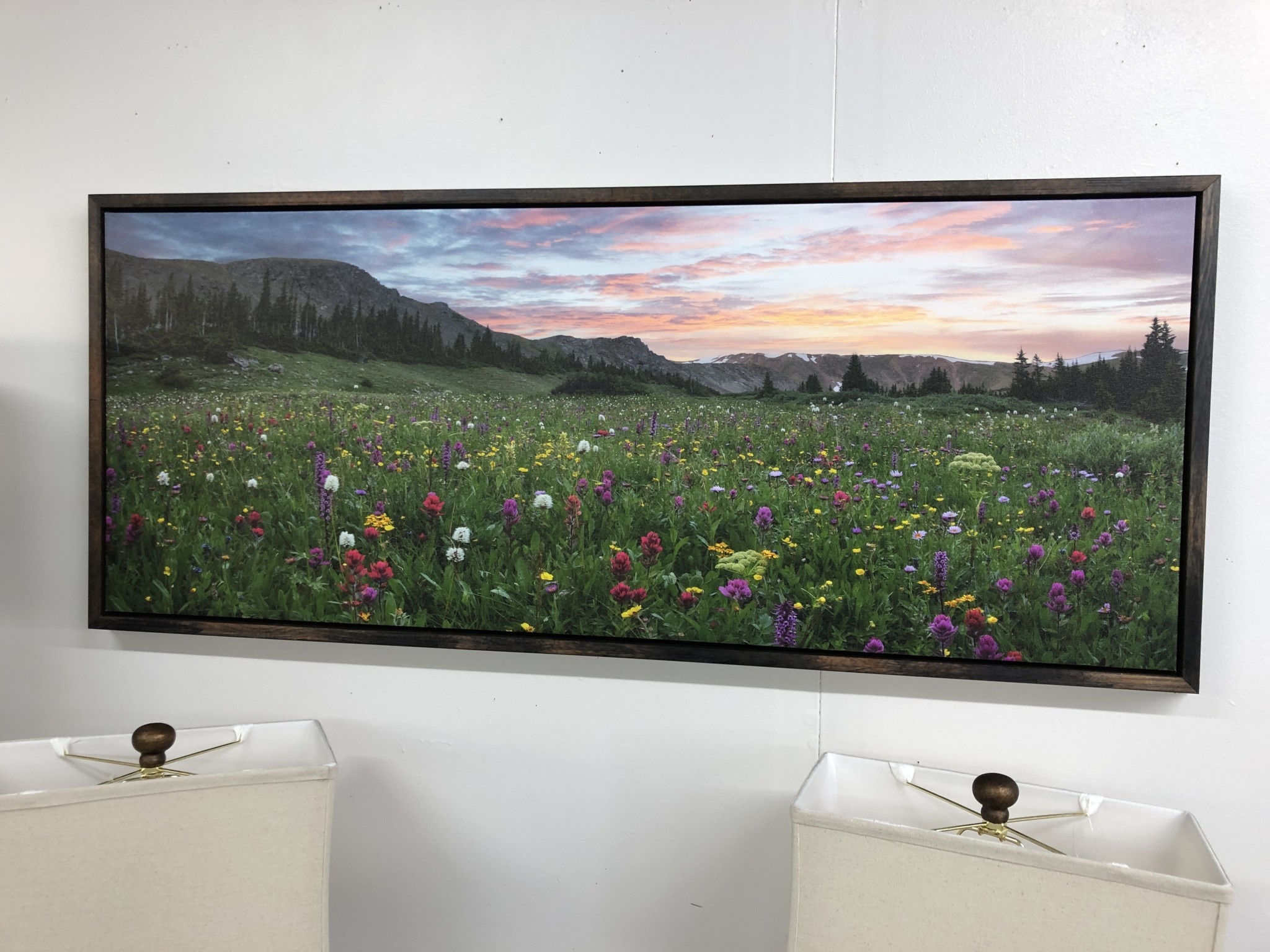 TAC Colorado Wildflower Pano 1  52x22.5
