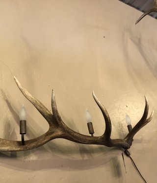 Fish 3 Light Small Elk Wall Sconce