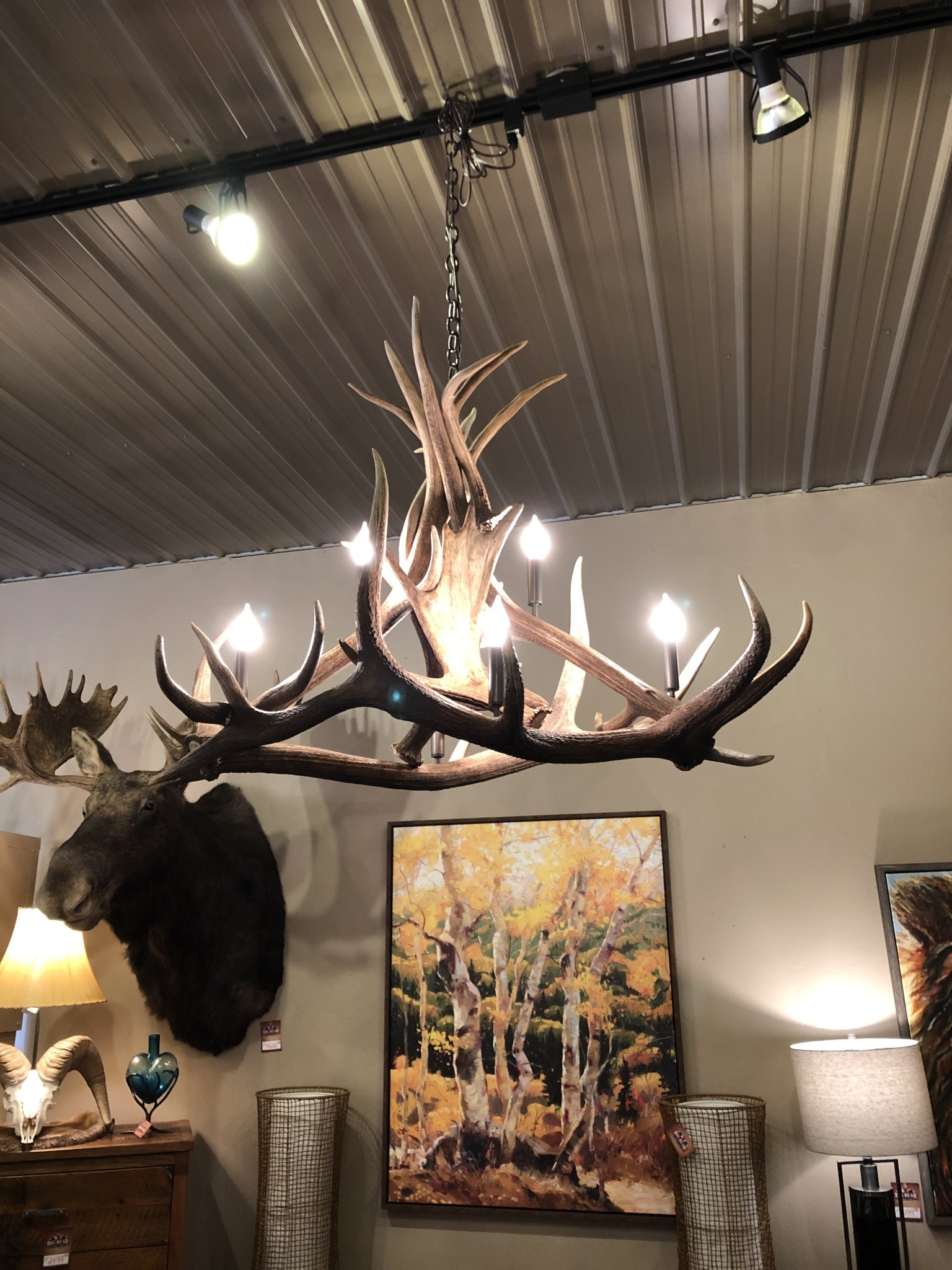 Fish 6 Light Elk/Moose Oblong Chandelier