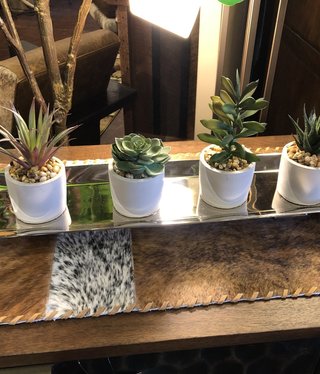 D&W Silks Succulents in Mini Cement Bowl 3D x 5.5H