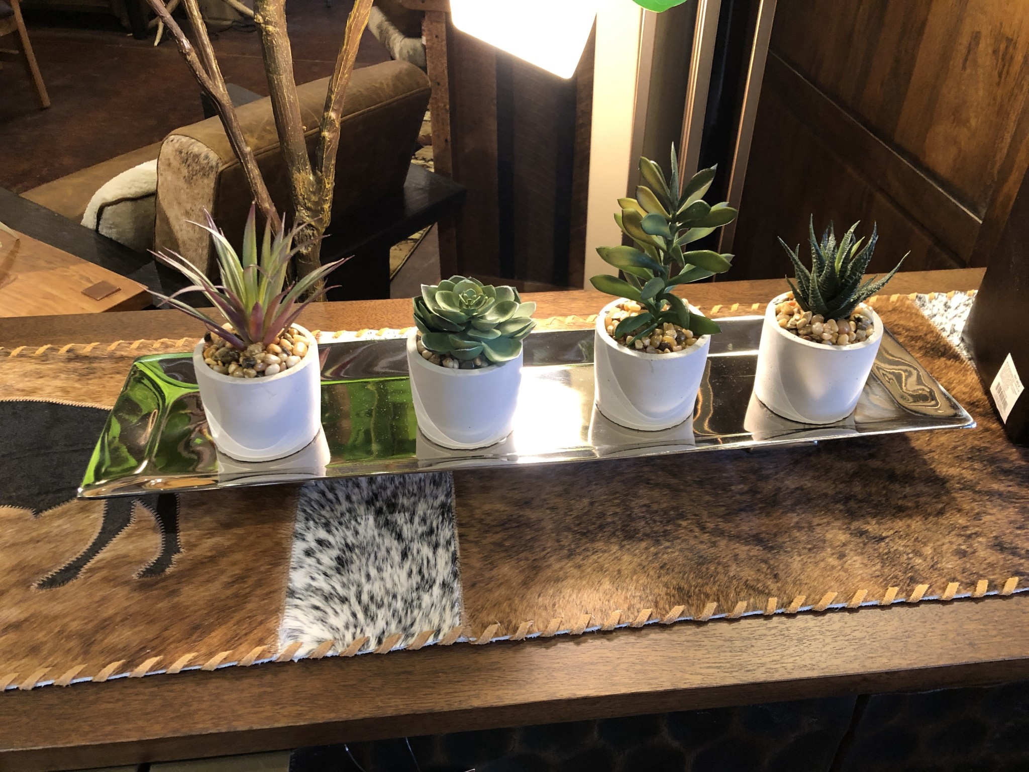 D&W Silks Succulents in Mini Cement Bowl 3D x 5.5H