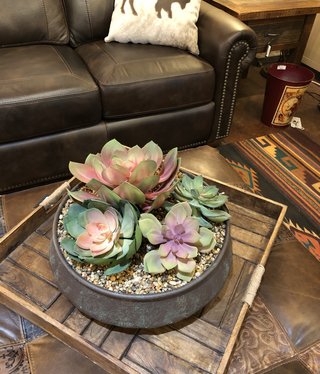 D&W Silks Asst Echeveria in Round Metal Planter