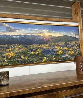TAC Colorado Sunflower Sunset Pano I  62x26