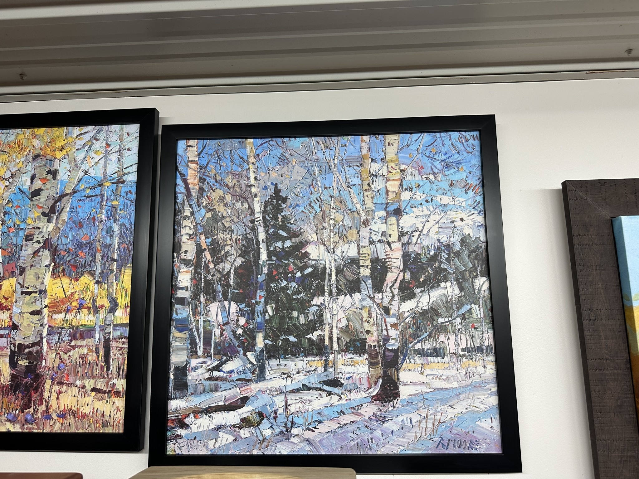TAC Winter 26x26