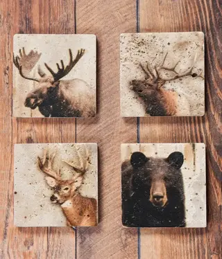 Hiend Lodge Animal Coasters Set of 4 each (Bear, Moose,Deer,Elk)