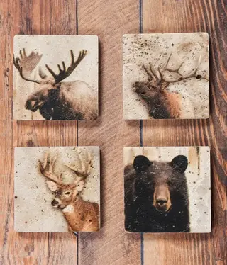 Hiend Lodge Animal Coasters Set of 4 each (Bear, Moose,Deer,Elk) Hiend Lodge Animal Coasters Set of 4 each (Bear, Moose,Deer,Elk)