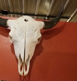 Chuck Lewis Buffalo Skull