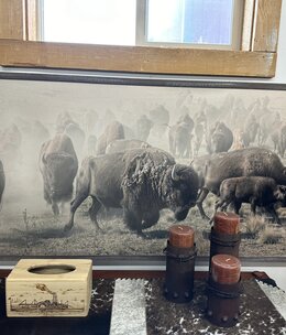 TAC The Migration (Buffalo)