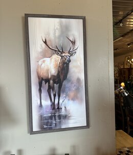 TAC Water Colour Wapiti