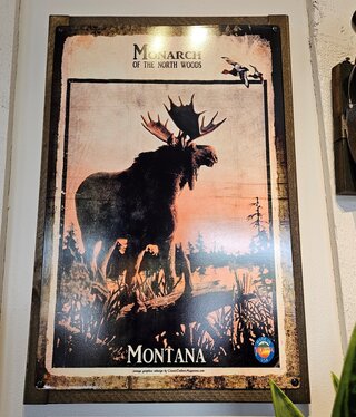 Classic Outdoor Magazines #20  Monarch Moose 17x24 Metal/Wood