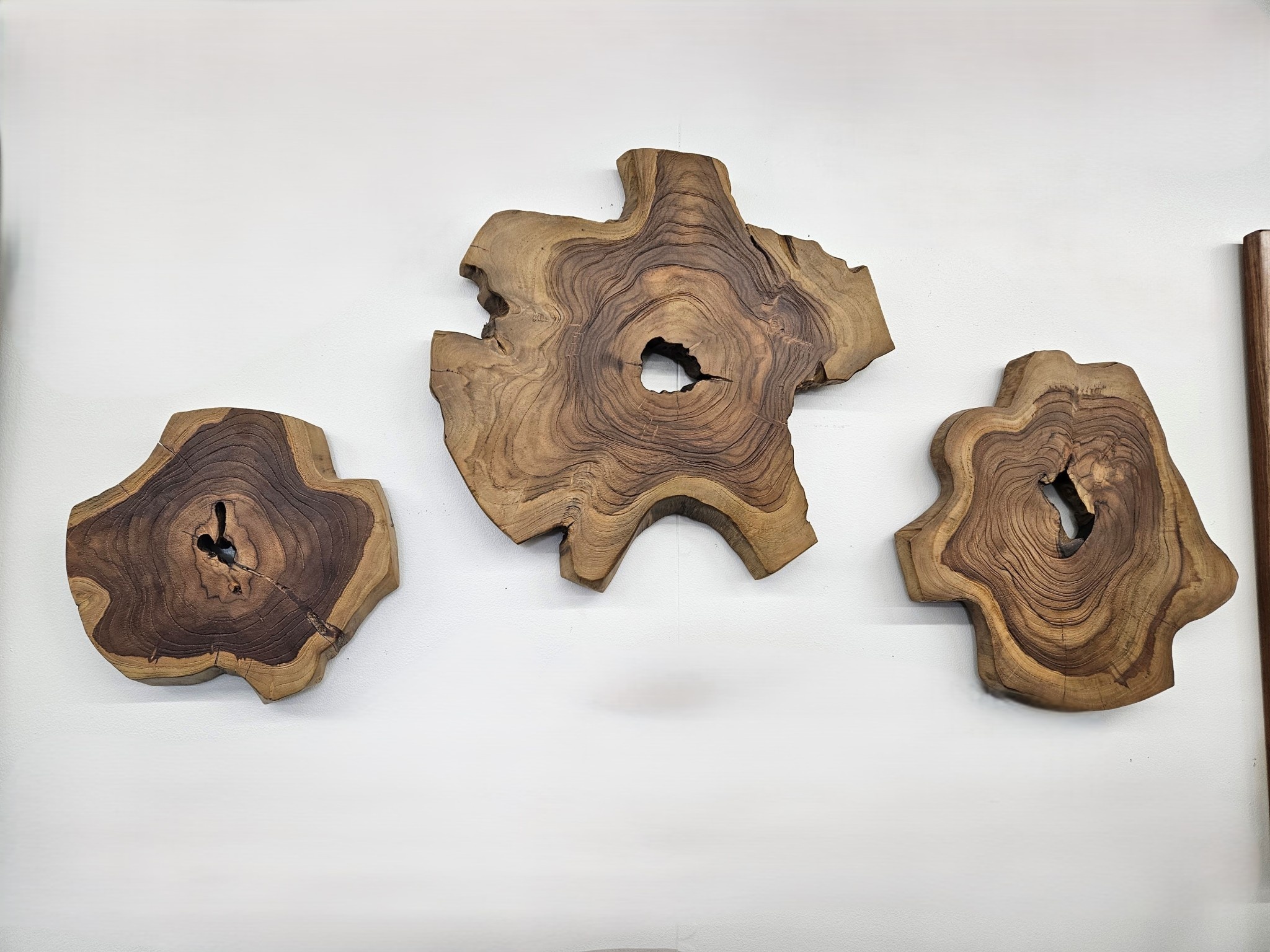 Uttermost Kalani Wood Wall Decor Set of 3, 20W x 1D x 20H