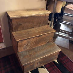 Co-ALBC Wooden Steps