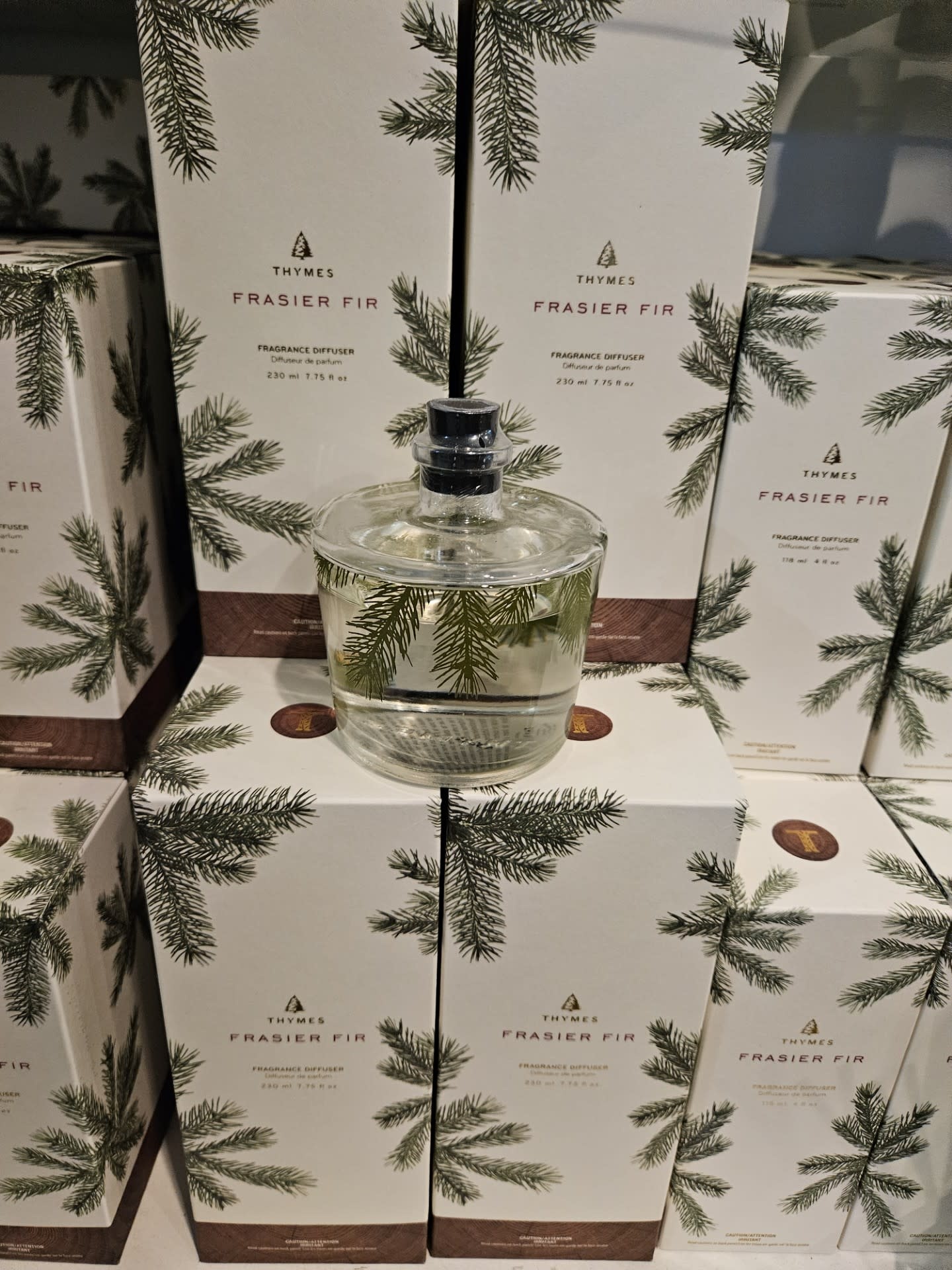 Frasier Fir FF Large Reed Diffuser/Pine Needle