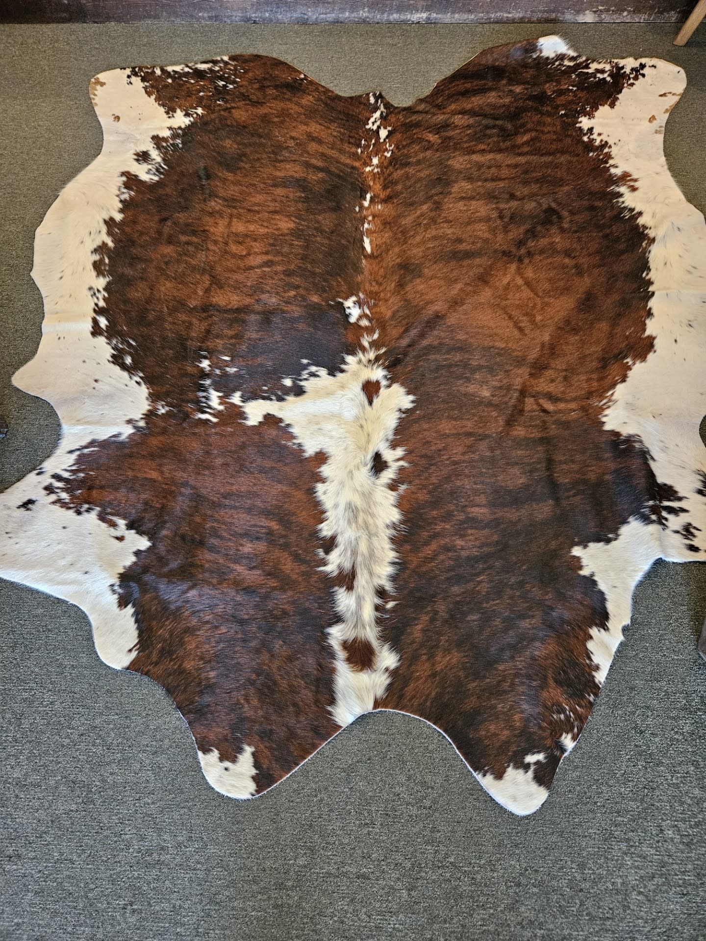 Gaucho XL Cowhide