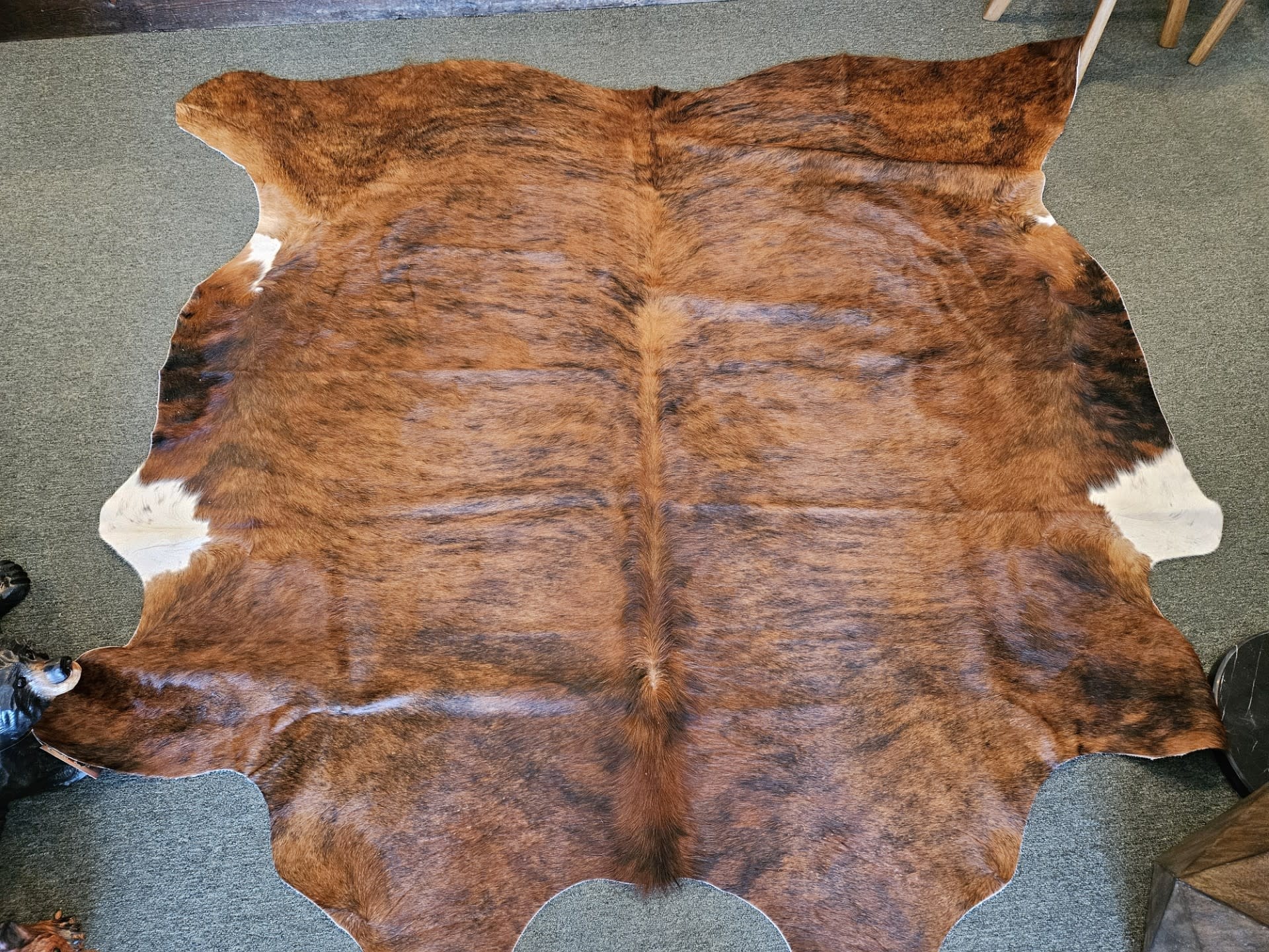 Gaucho XL Cowhide