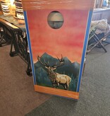 MCE Industries Corn Hole Game Board Set