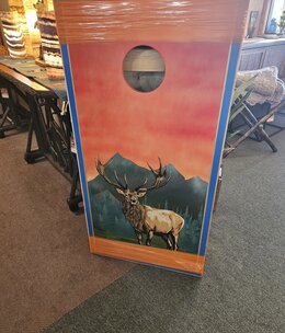 MCE Industries Corn Hole Game Board Set