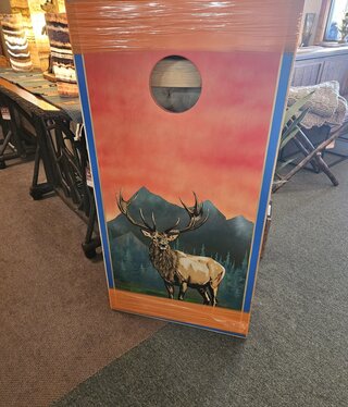 MCE Industries Corn Hole Game Board Set