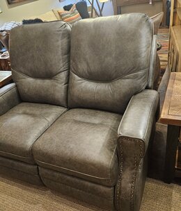 Omnia Ride  Reclining Loveseat