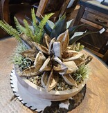 D&W Silks Ambrose Planter (Star pod, fern & Succulents)
