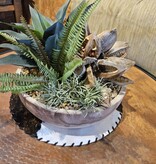 D&W Silks Ambrose Planter (Star pod, fern & Succulents)