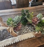 D&W Silks Mixed Succulents on Ghostwood Log 32Lx19Wx10H