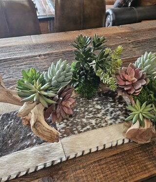 D&W Silks Mixed Succulents on Ghostwood Log 32Lx19Wx10H