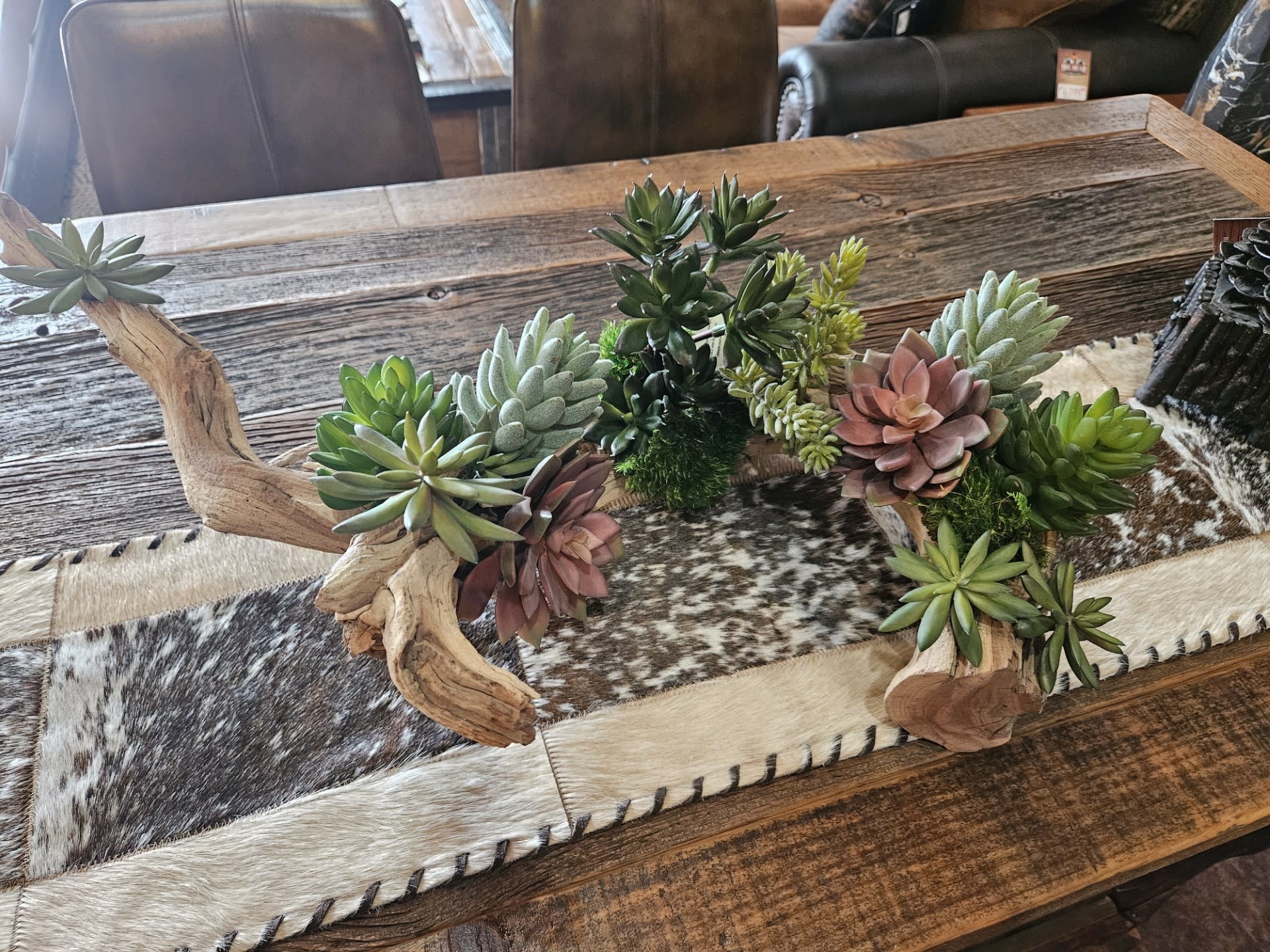 D&W Silks Mixed Succulents on Ghostwood Log 32Lx19Wx10H