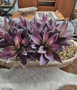 D&W Silks Pur/Gr Aloe in  Ambrose Oval Bowl  23x14x12H***