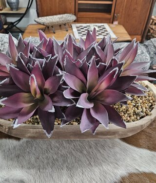 D&W Silks Pur/Gr Aloe in  Ambrose Oval Bowl  23x14x12H***